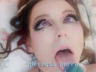 Hermosa_perra