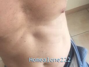 Homealone222