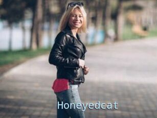 Honeyedcat