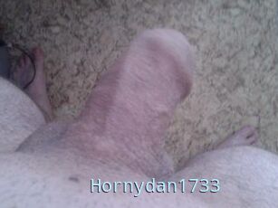 Hornydan1733