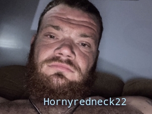 Hornyredneck22