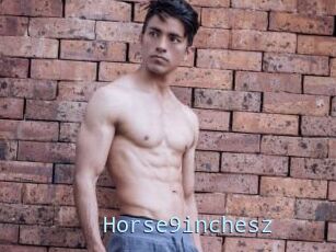 Horse9inchesz