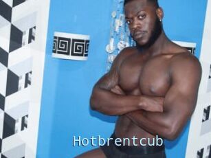 Hotbrentcub