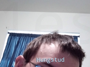 Hungstud