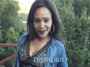 INSANEBOTY