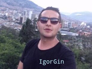 IgorGin