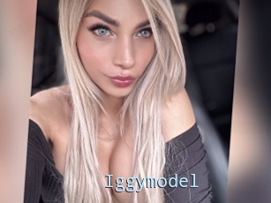 Iggymodel