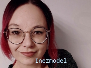 Inezmodel