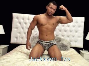 Jacksson_fox
