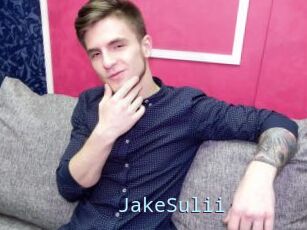 JakeSulii