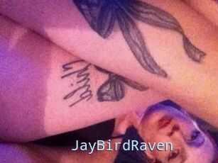 JayBirdRaven