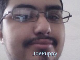 JoePuppy