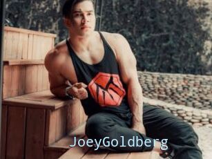 JoeyGoldberg