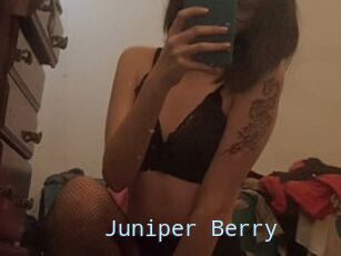 Juniper_Berry