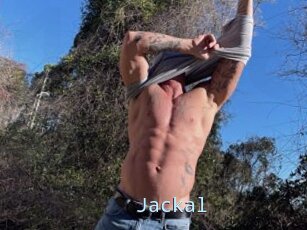 Jackal