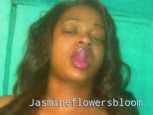 Jasmineflowersbloom