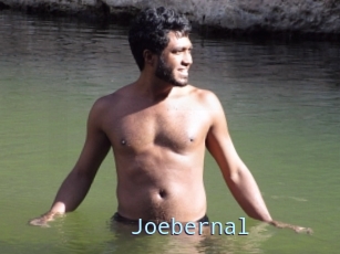 Joebernal