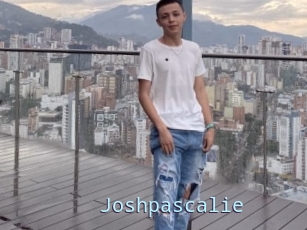 Joshpascalie