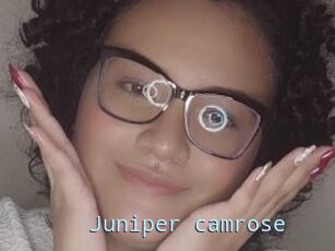 Juniper_camrose