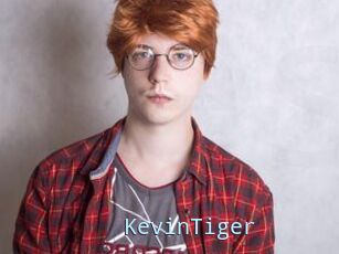 KevinTiger