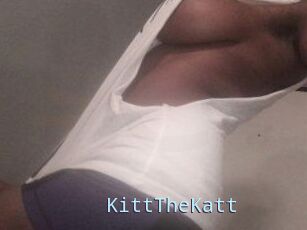 Kitt_The_Katt