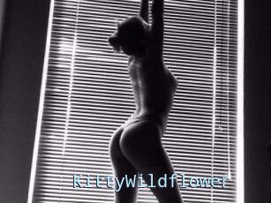 KittyWildflower