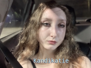 Kandikatie