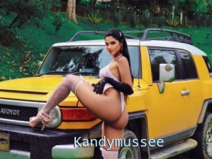 Kandymussee