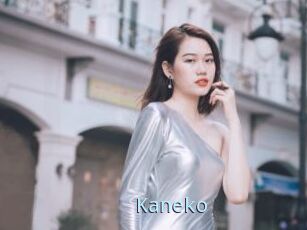 Kaneko