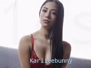 Karlieebunny