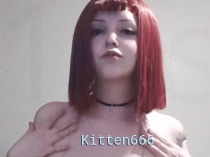 Kitten666