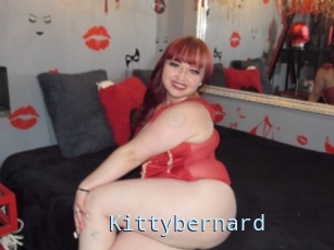 Kittybernard