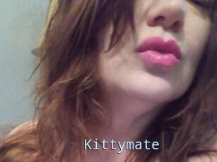 Kittymate