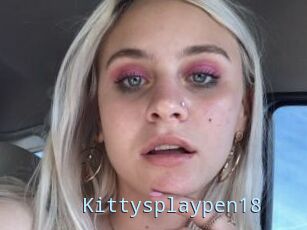 Kittysplaypen18