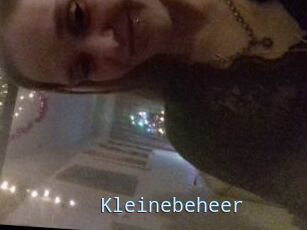 Kleinebeheer