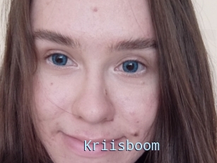 Kriisboom