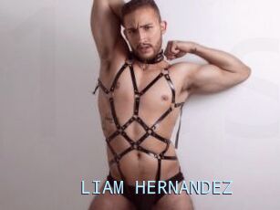 LIAM_HERNANDEZ