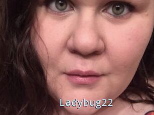 Ladybug22