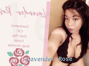 Lavender_Rose
