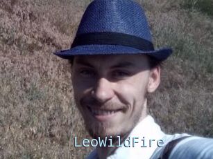LeoWildFire