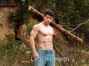 Leo_Neumann