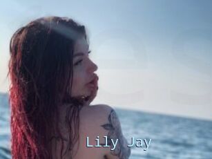 Lily_Jay