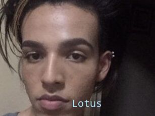 Lotus