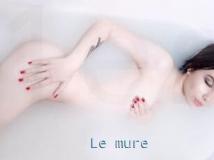 Le_mure