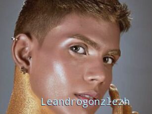 Leandrogonzlezh