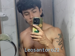 Leosantoro22