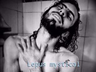 Lepus_mystical