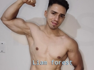 Liam_forest