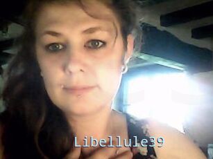 Libellule39