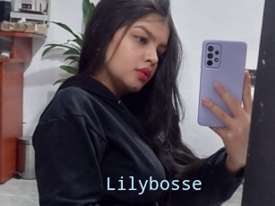 Lilybosse